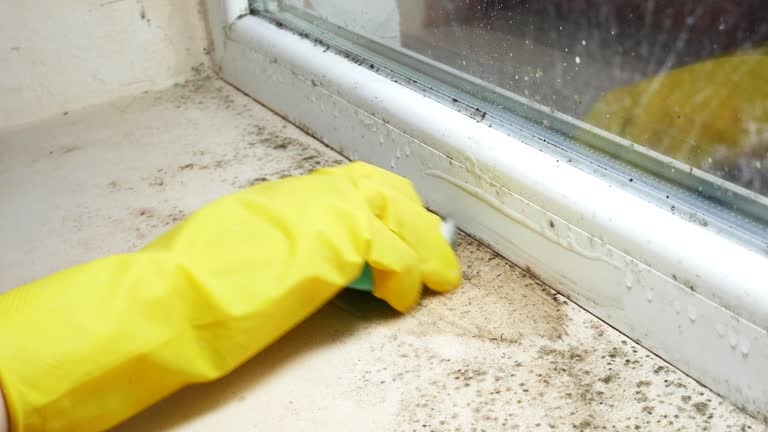 Best Mold Removal for HVAC Installations  in Springdale, NJ